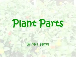 Plant Parts