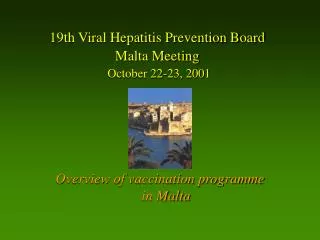 19th Viral Hepatitis Prevention Board Malta Meeting October 22-23, 2001