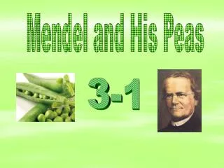 Mendel and His Peas