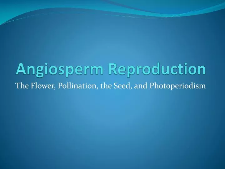 angiosperm reproduction