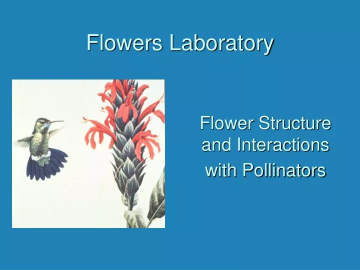 flowers laboratory