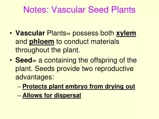 Notes: Vascular Seed Plants