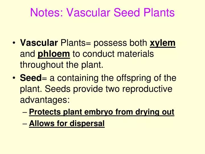 notes vascular seed plants