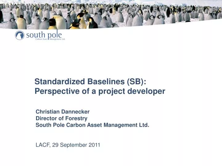 standardized baselines sb perspective of a project developer
