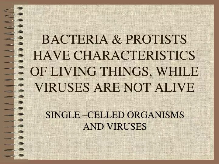 bacteria protists have characteristics of living things while viruses are not alive