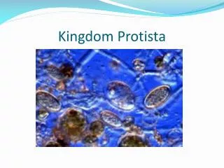 Kingdom Protista