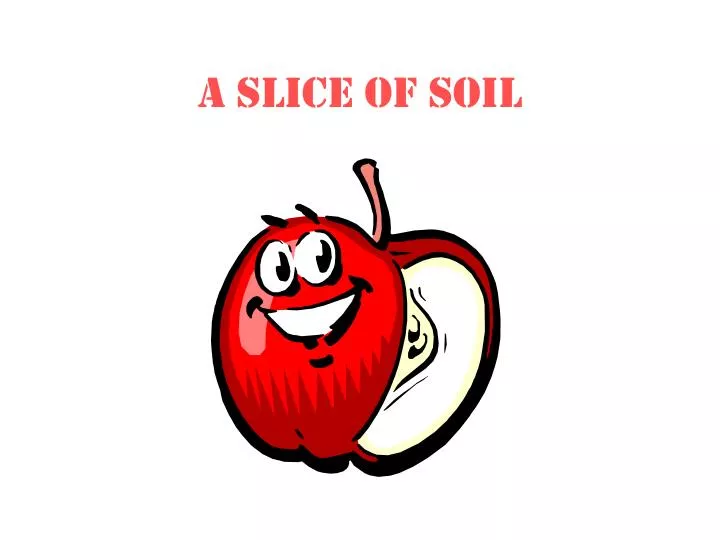 a slice of soil