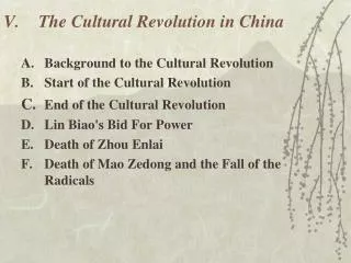 V.	The Cultural Revolution in China