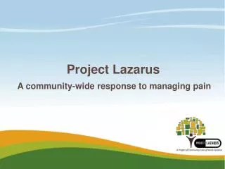 Project Lazarus A community-wide response to managing pain