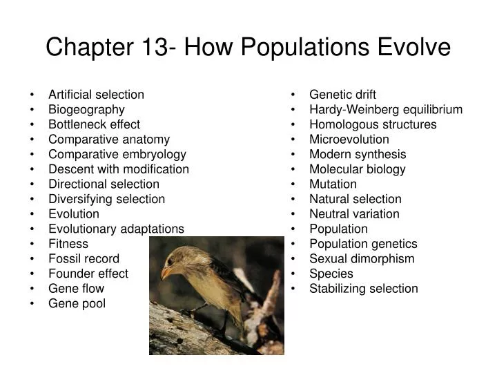 chapter 13 how populations evolve