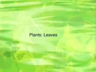 Plants: Leaves