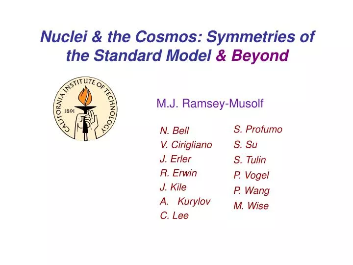 nuclei the cosmos symmetries of the standard model beyond