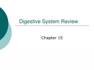 Digestive System Review