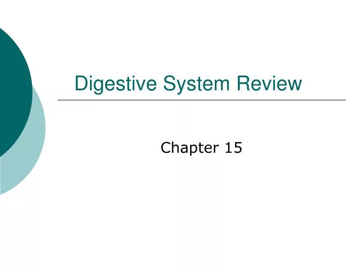 digestive system review
