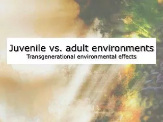 Juvenile vs. adult environments Transgenerational environmental effects