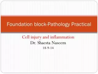 Foundation block-Pathology Practical