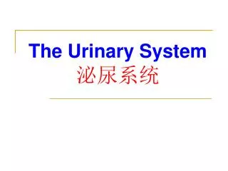 The Urinary System ????
