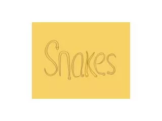 Some kinds of snakes live in the ocean. These include the most poisonous snakes in the world.