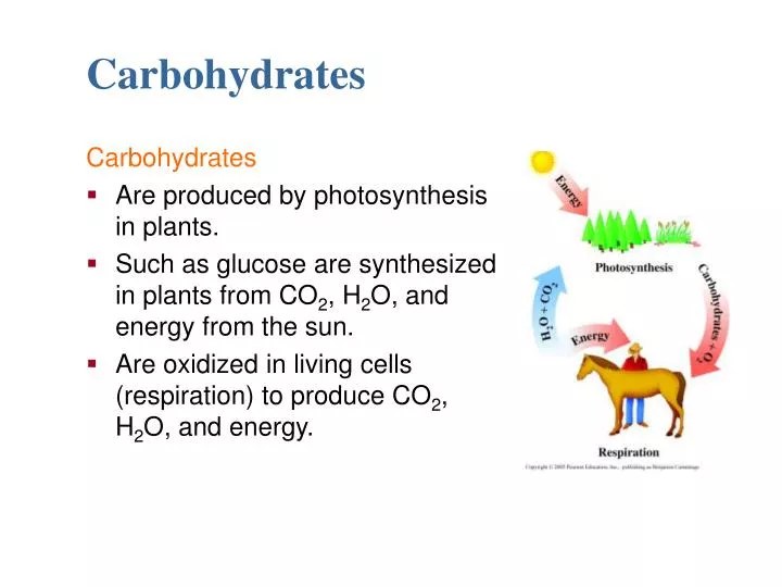 carbohydrates