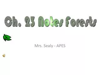 Mrs. Sealy - APES
