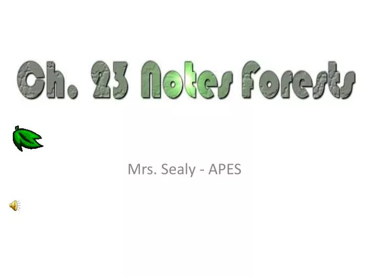 mrs sealy apes