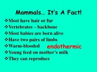 Mammals… It’s A Fact!