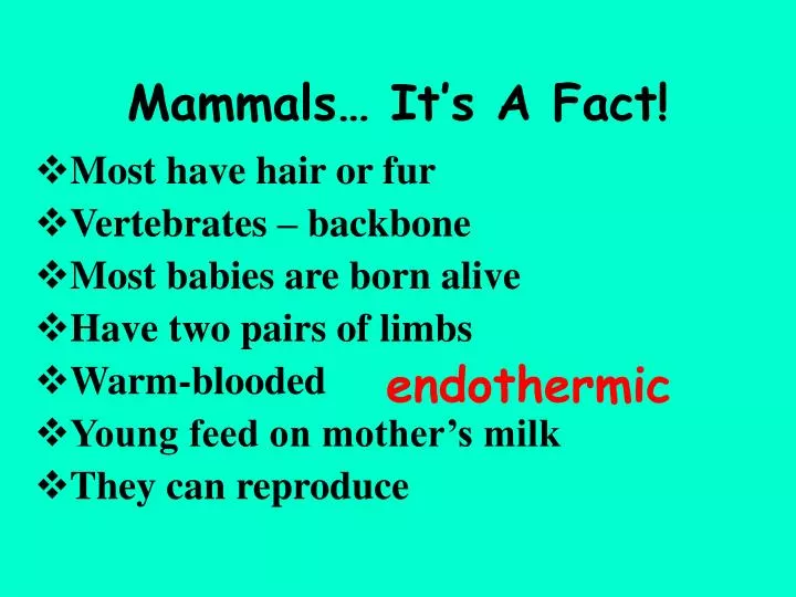 mammals it s a fact