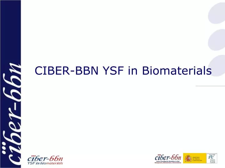 ciber bbn ysf in biomaterials