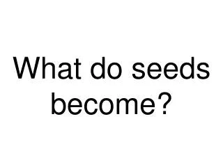 What do seeds become?