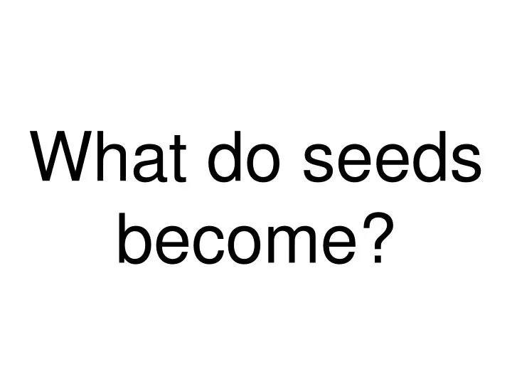 what do seeds become