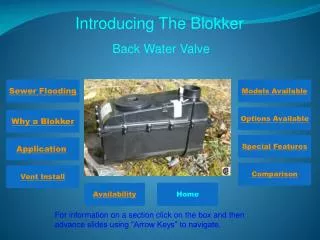 Introducing The Blokker