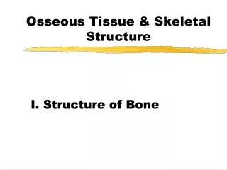 Osseous Tissue &amp; Skeletal Structure
