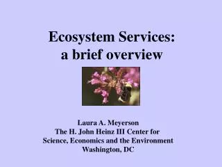 Ecosystem Services: a brief overview