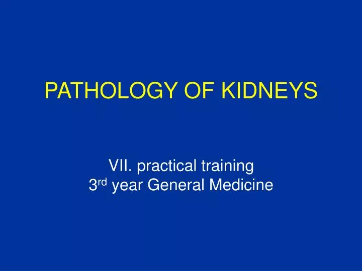 pathology of kidneys