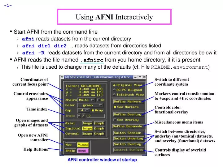 using afni interactively