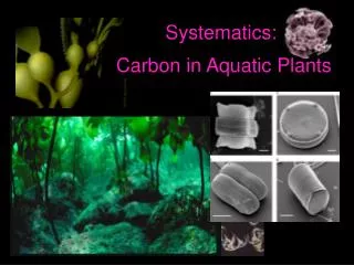 Systematics: Carbon in Aquatic Plants