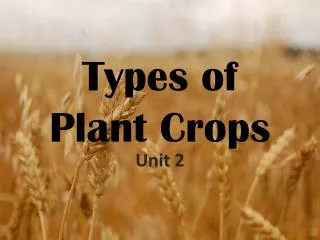 Types of Plant Crops