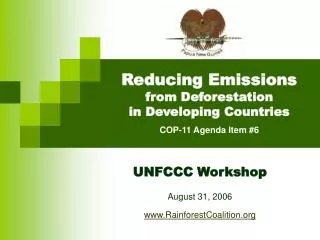 Reducing Emissions from Deforestation in Developing Countries COP-11 Agenda Item #6