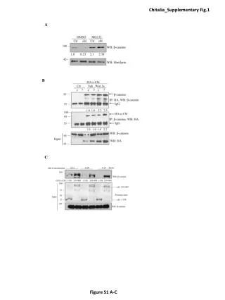 Figure S1 A-C