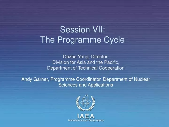 session vii the programme cycle