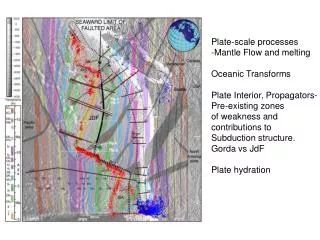 Plate-scale processes -Mantle Flow and melting Oceanic Transforms Plate Interior, Propagators-