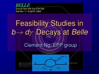 Feasibility Studies in b ! d ? Decays at Belle Clement Ng, EPP group
