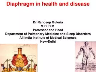 Diaphragm in health and disease Dr Randeep Guleria M.D.,D.M. Professor and Head
