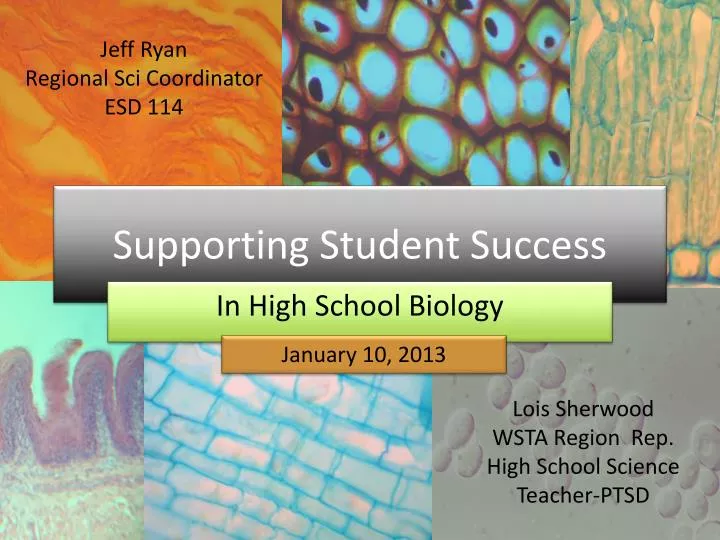 supporting student success