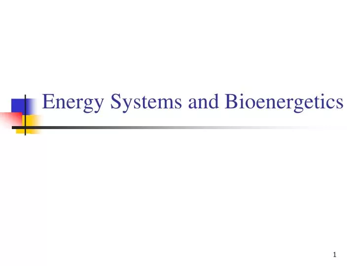 energy systems and bioenergetics