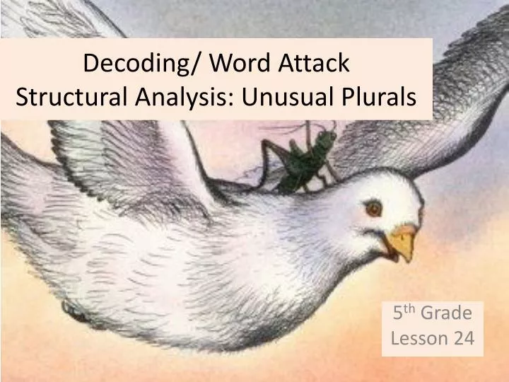 decoding word attack structural analysis unusual plurals