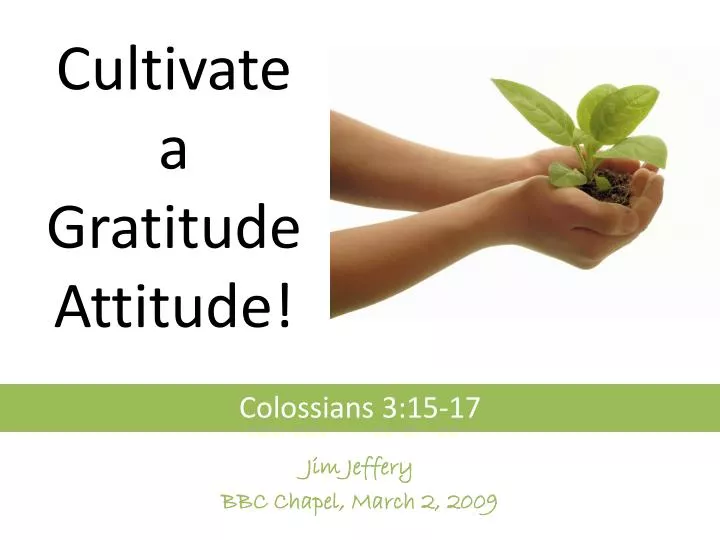 cultivate a gratitude attitude