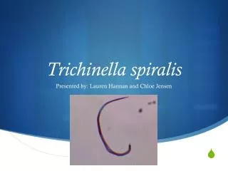 Trichinella spiralis