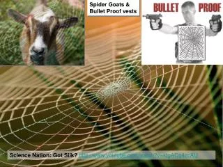 Science Nation: Got Silk? youtube/watch?v=ktgACq4zcAU