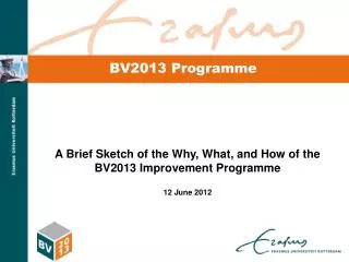 BV2013 Programme
